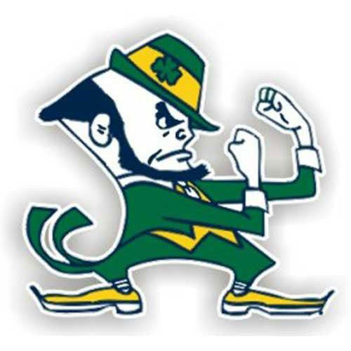 Notre Dame Fighting Irish NCAA 12 Car Magnet