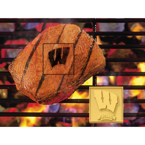 Wisconsin Badgers NCAA Fan Brands Grill Logo