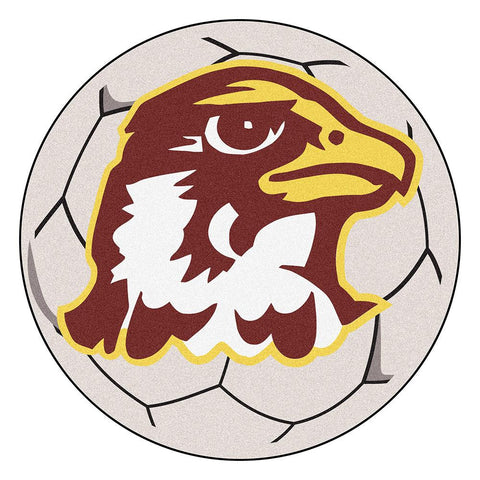 Quincy Hawks NCAA Soccer Ball Round Floor Mat (29)