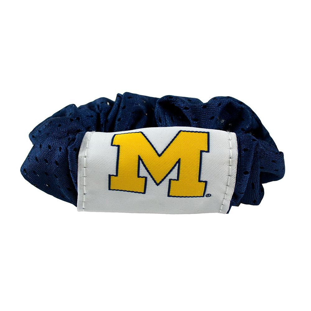 Michigan Wolverines NCAA Hair Twist