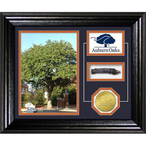 Auburn Tigers NCAA Auburn Oaks Authentic Oaks Desktop Photo Mint